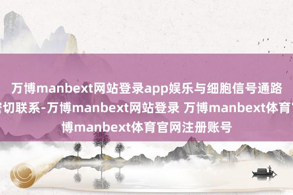 万博manbext网站登录app娱乐与细胞信号通路的特殊活化密切联系-万博manbext网站登录 万博manbext体育官网注册账号