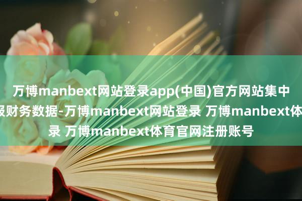 万博manbext网站登录app(中国)官方网站集中公司2024年中报财务数据-万博manbext网站登录 万博manbext体育官网注册账号